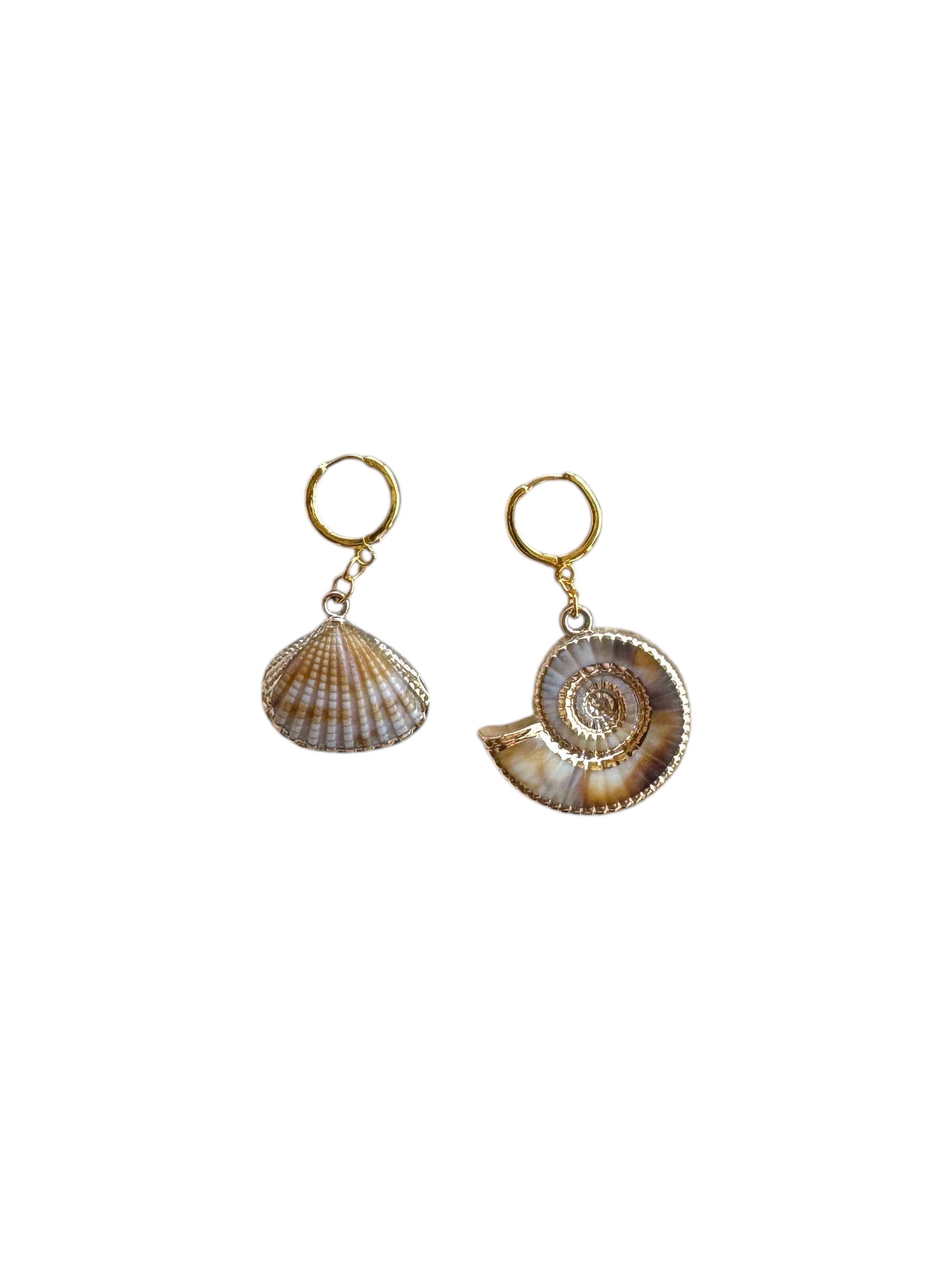 Manolli Seashell Summer Earrings
