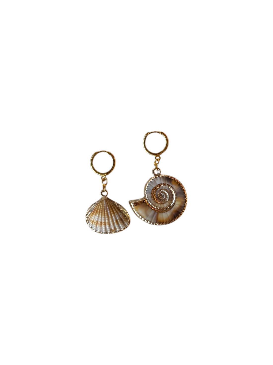 Manolli Seashell Summer Earrings